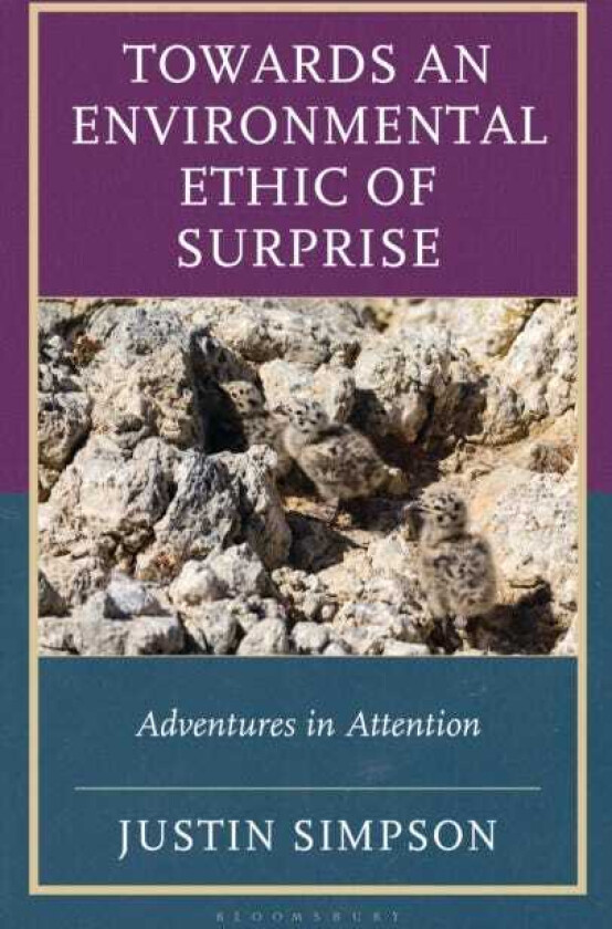 Towards an Environmental Ethic of Surprise Adventures in Attention