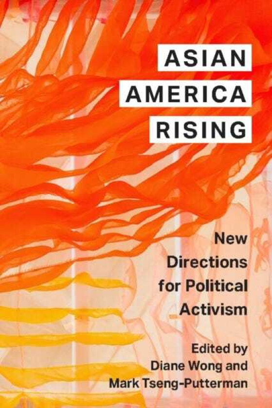 Asian America Rising New Directions for Political Activism