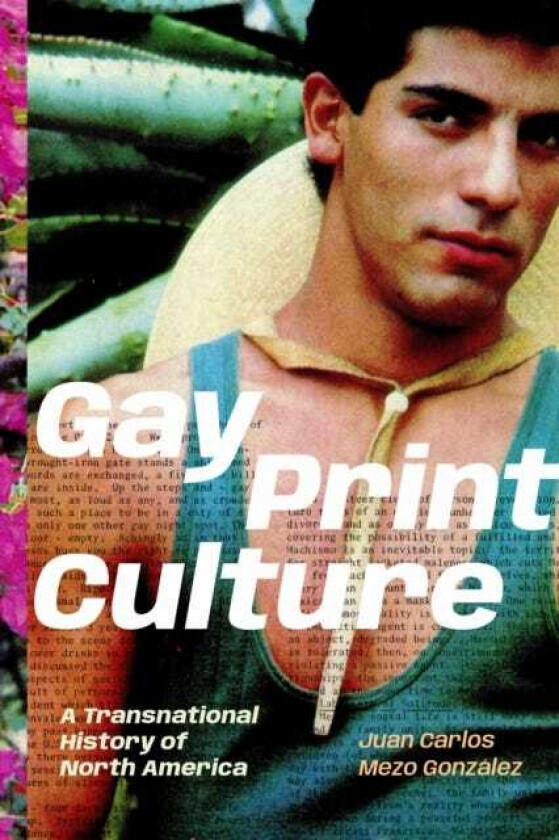 Gay Print Culture A Transnational History of North America