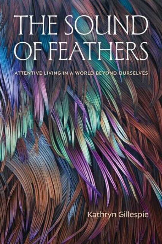 The Sound of Feathers Attentive Living in a World Beyond Ourselves
