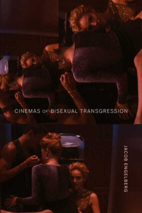 Cinemas of Bisexual Transgression