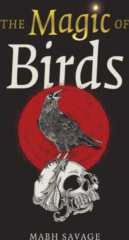 Magic of Birds, The