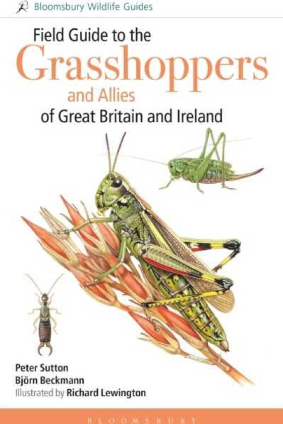 Field Guide to the Grasshoppers and Allies of Great Britain and Ireland Grasshoppers, Crickets, Earwigs, Cockroaches, Mantids and Stickinsects