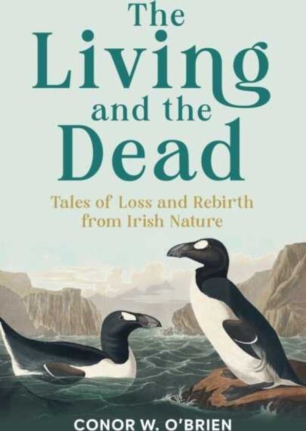 The Living and the Dead Tales of Loss and Rebirth from Irish Nature