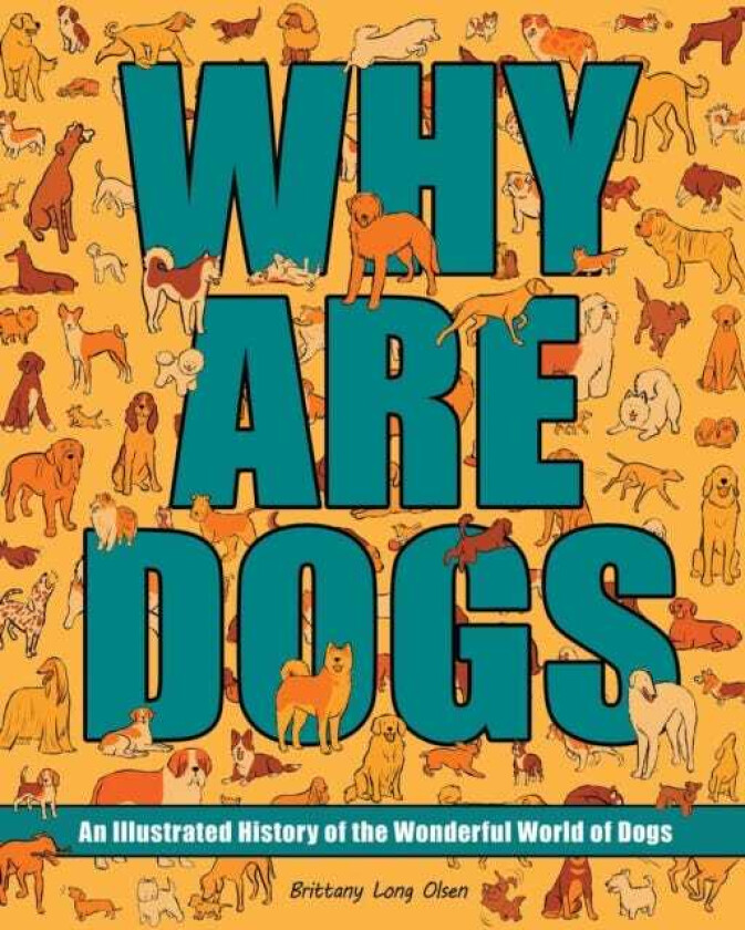 Why Are Dogs An Illustrated History of the Wonderful World of Dogs
