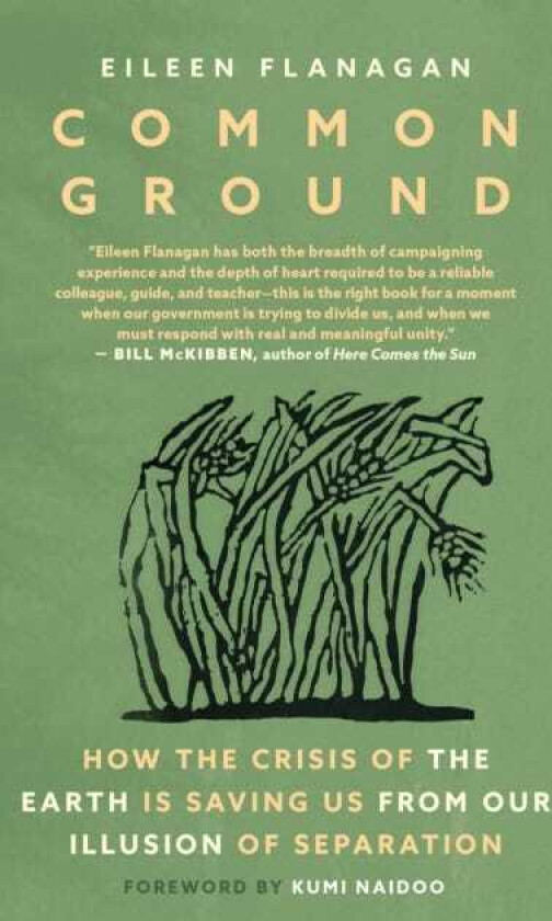 Common Ground Stories of Resistance and Healing from the Movement to Protect the Earth