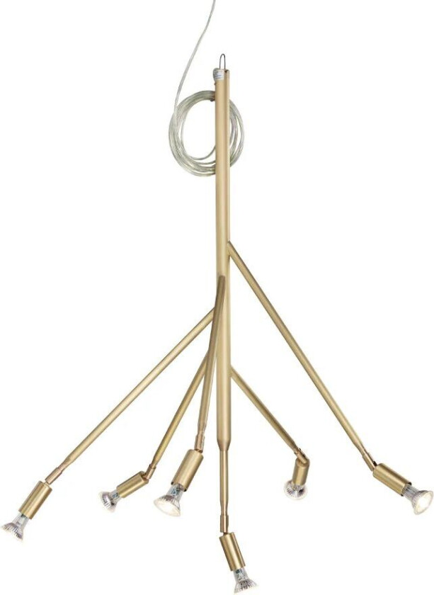 Kvist 6 Børstet messing