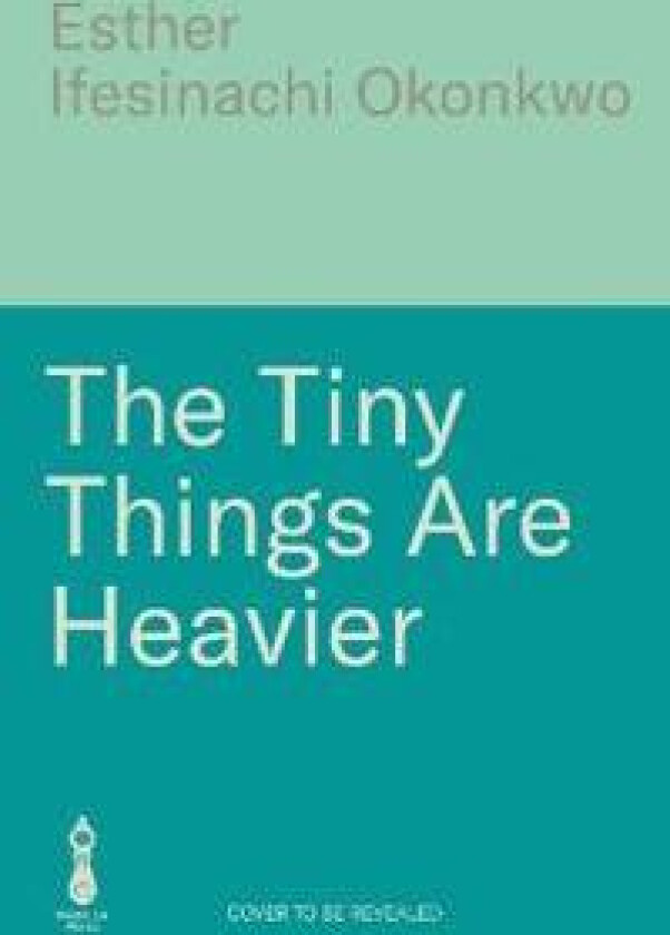 The Tiny Things Are Heavier