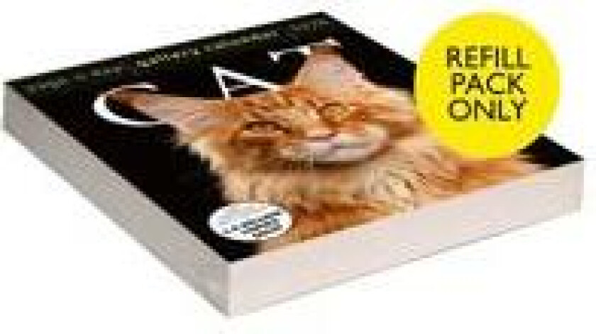 Cat Page-A-Day® Gallery Calendar Refill Pack 2026