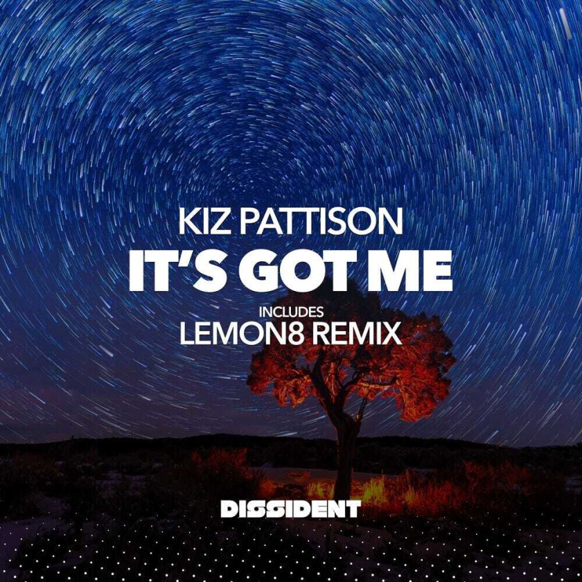 Kiz Pattison It's Got Me CD