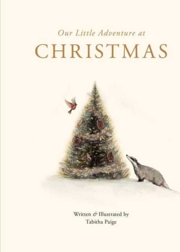 Our Little Adventure at Christmas Featuring Foundational Language Concepts and Lessons on the Joy of Giving