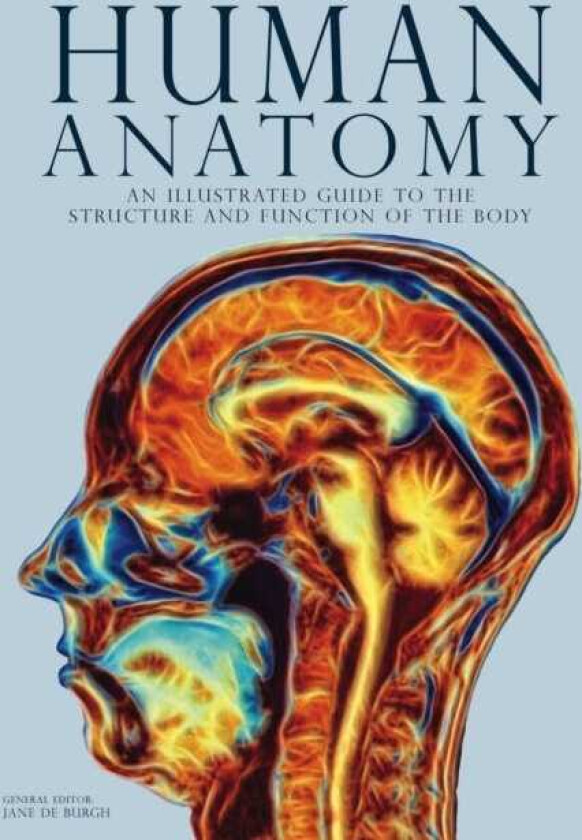 Human Anatomy An Illustrated Guide to the Structure and Function of the Body