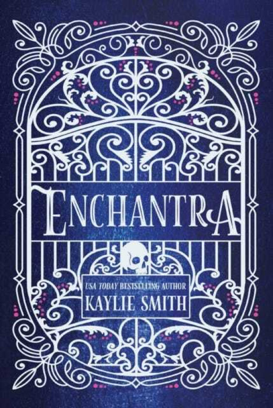 Enchantra A spicy fantasy romance