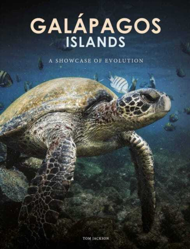 Galapagos Islands A Showcase of Evolution