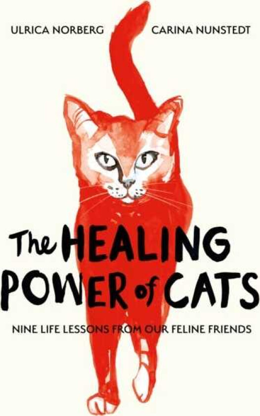 The Healing Power of Cats Nine Lessons from Our Feline Friends