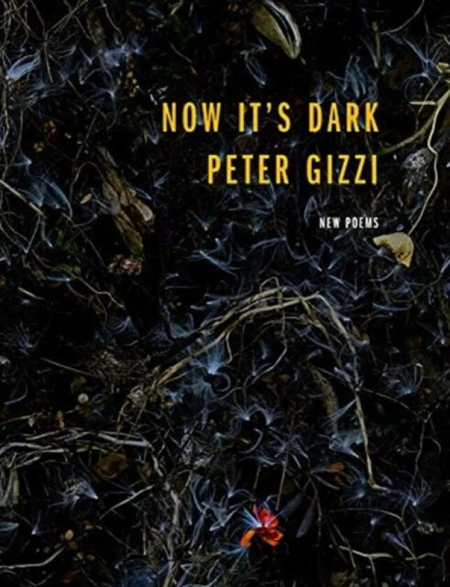 Now It's Dark av Peter Gizzi