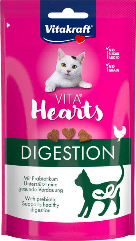 Vita Hearts Digestion - Kylling (40 g)