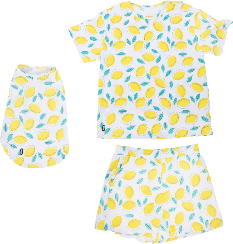 Pet & Parent pyjamas i partnerlook, sitron - Pyjamas for hundeforeldre størrelse L + matchende hundetrøye rygglengde 35 cm