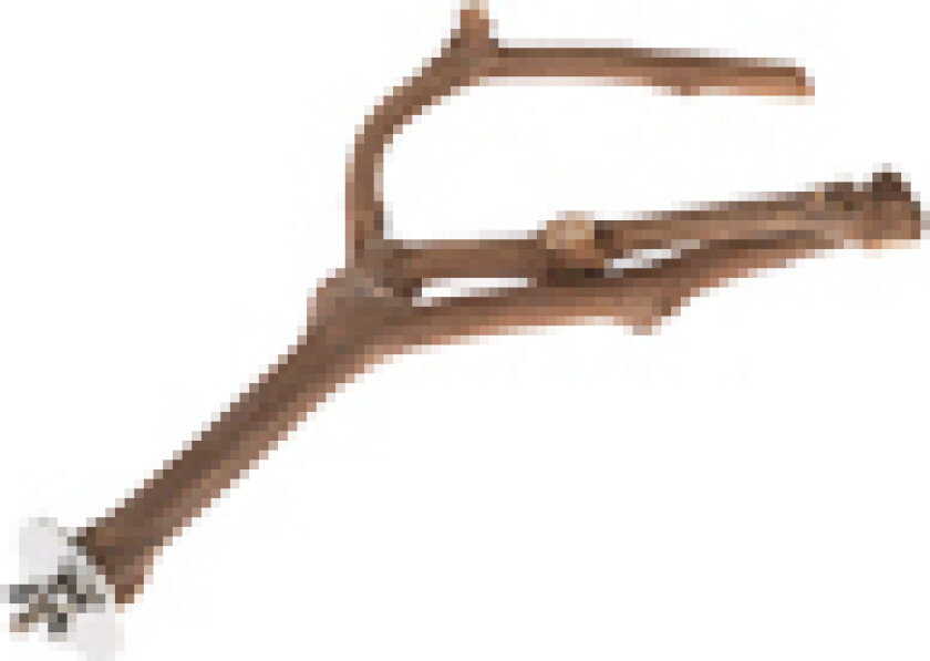 Y-formet fuglesittepinne av vinranke - Størrelse M: ca. Ø 2,5 x L 25 cm