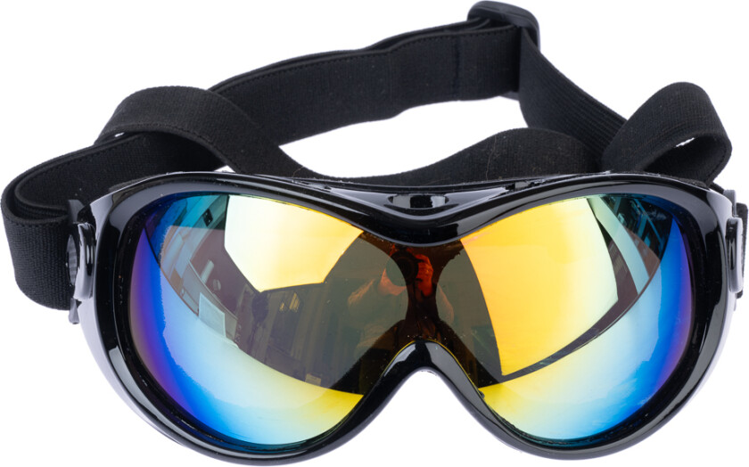 solbriller for hunder - 1 stk