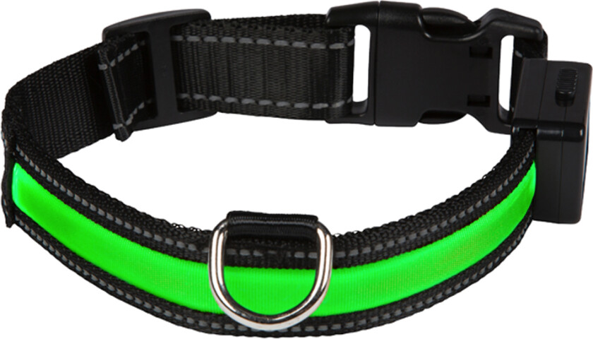 LED-Lyshalsbånd - grønn - Str. M: 45 - 55 cm Halsomfang, B 25 mm
