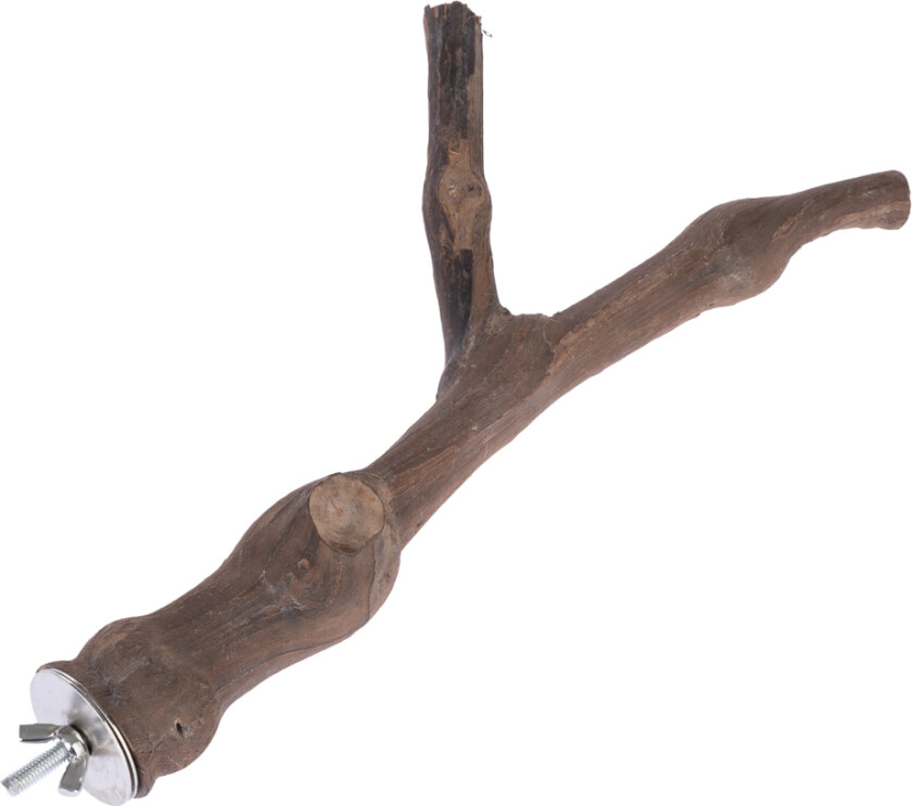 Y-formet fuglesittepinne av vinranke - Størrelse L: ca. Ø 3 x L 30 cm