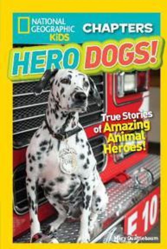 National Geographic Kids Chapters: Hero Dogs