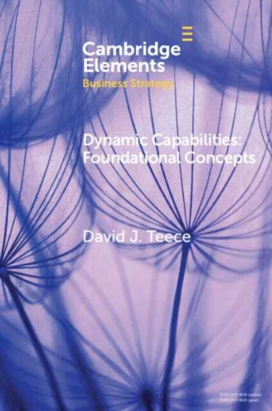 Dynamic Capabilities Foundational Concepts