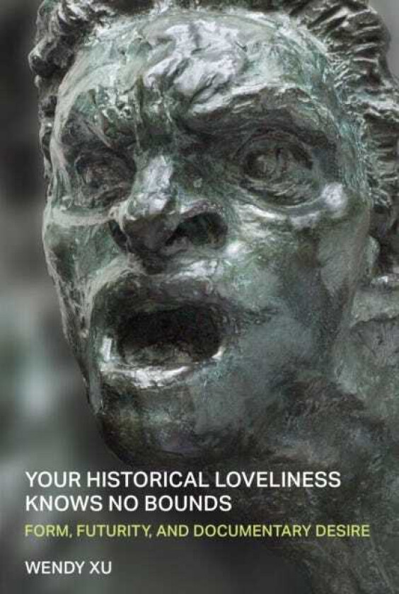 Your Historical Loveliness Knows No Bounds Form, Futurity, and Documentary Desire