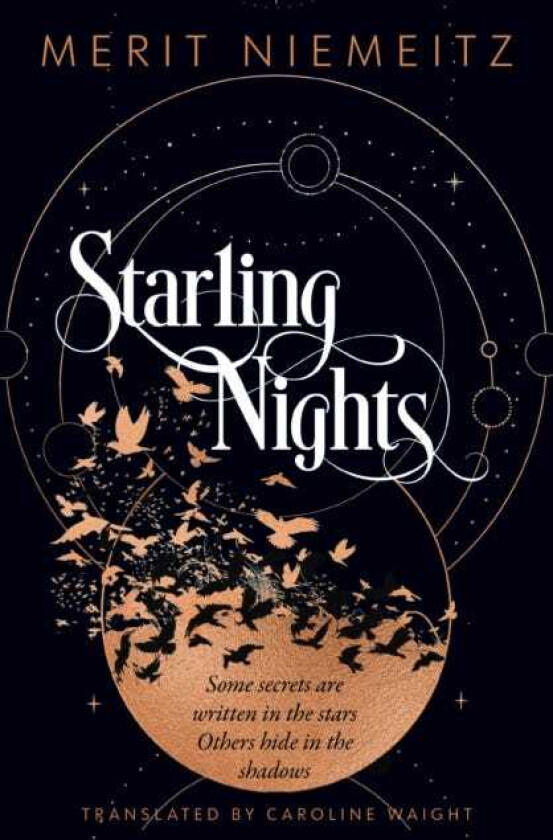 Starling Nights
