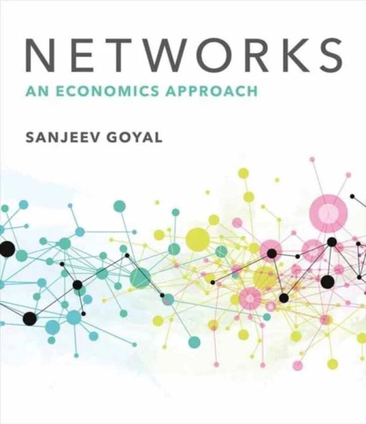 Networks av Sanjeev Goyal