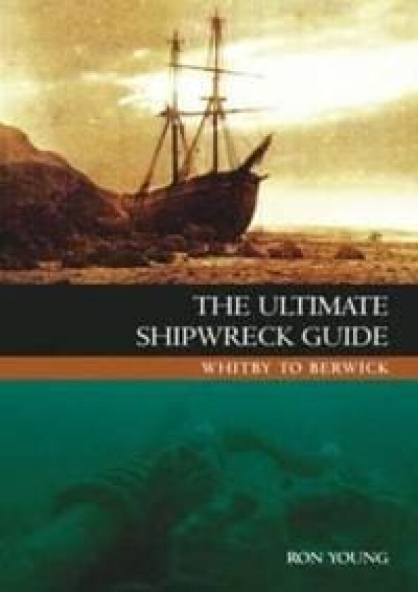 The Ultimate Shipwreck Guide av Ron Young