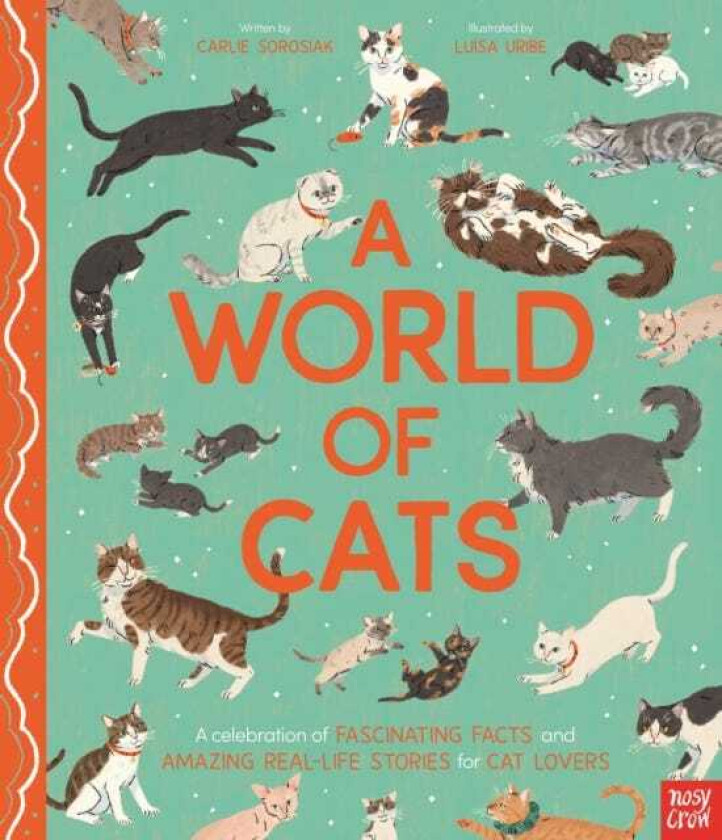 A World of Cats A Celebration of Fascinating Facts and Amazing RealLife Stories for Cat Lovers
