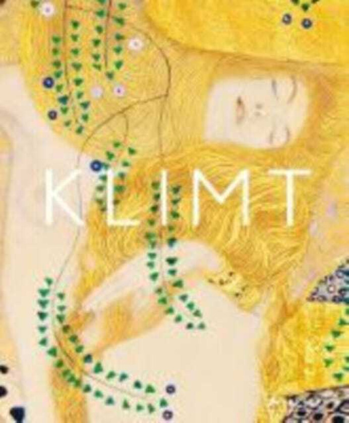 Klimt The Bigger Picture
