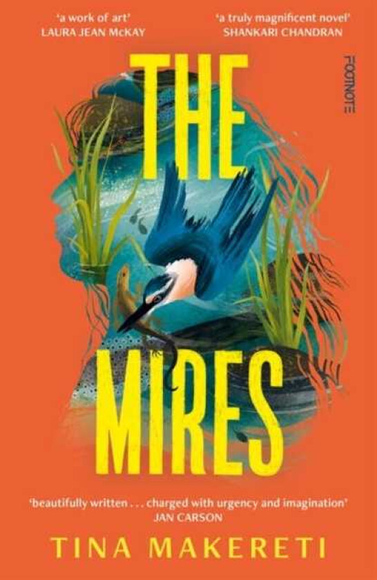 The Mires a powerful literary pageturner set in New Zealand