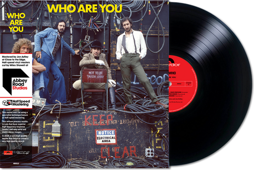 The Who Who Are You LP/Vinyl