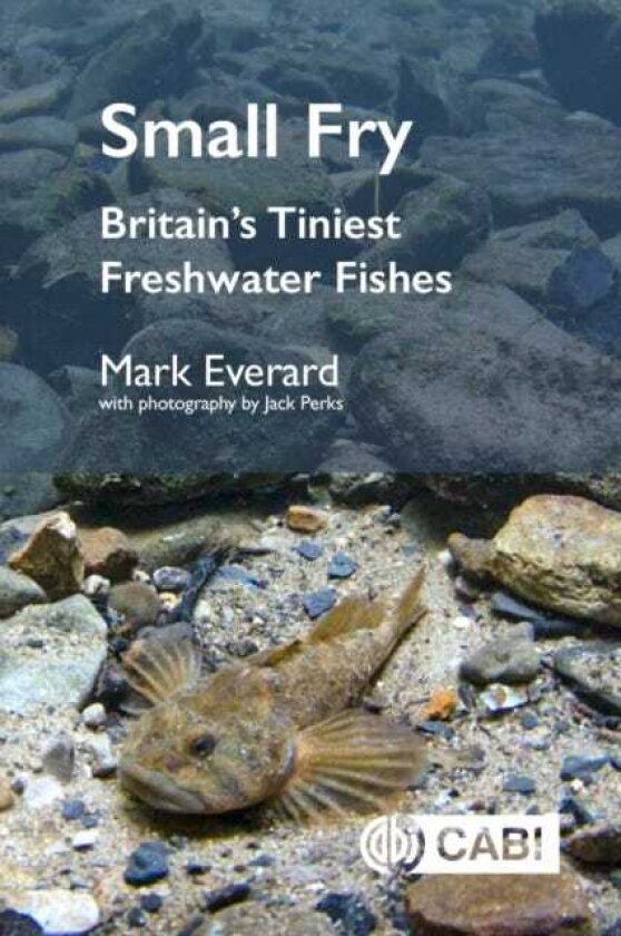 Small Fry Britain's Tiniest Freshwater Fishes