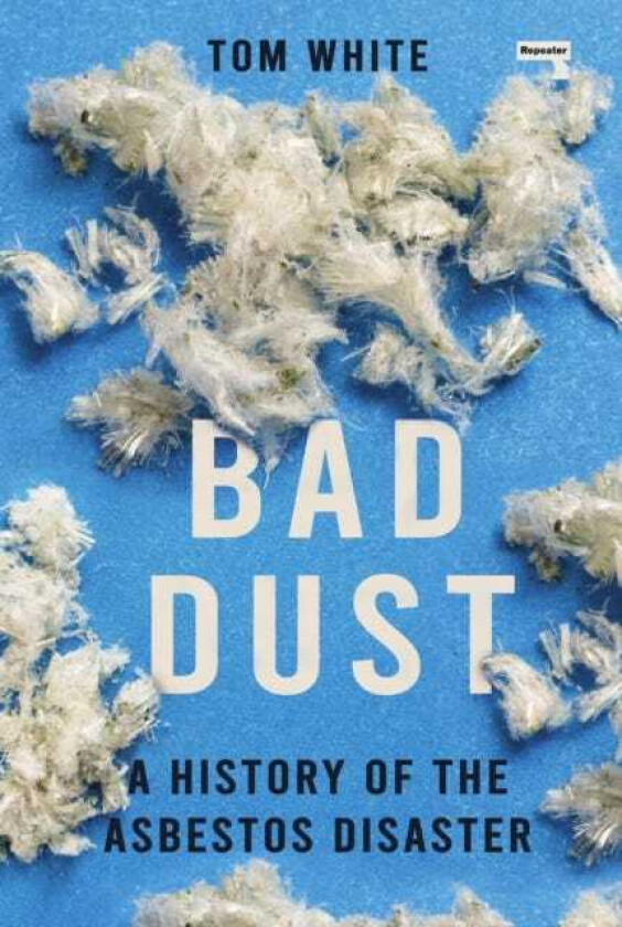 Bad Dust A History of the Asbestos Disaster