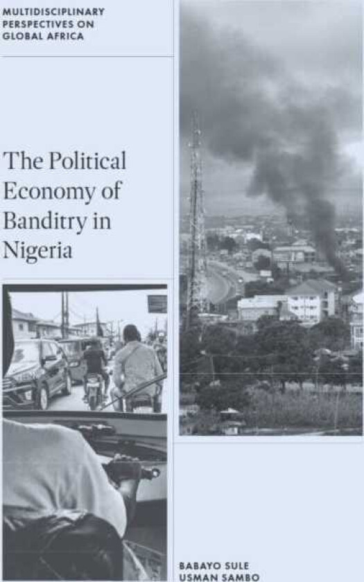 The Political Economy of Banditry in Nigeria