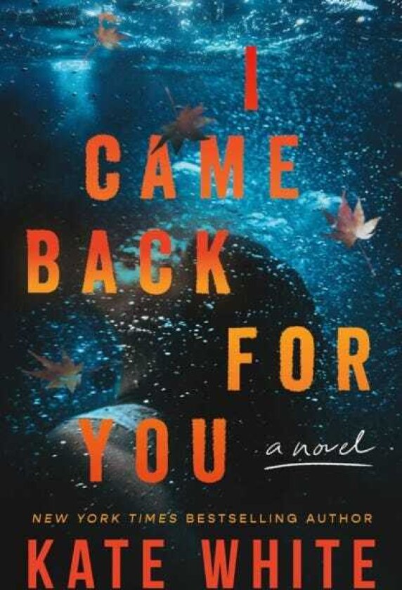 I Came Back for You A Novel
