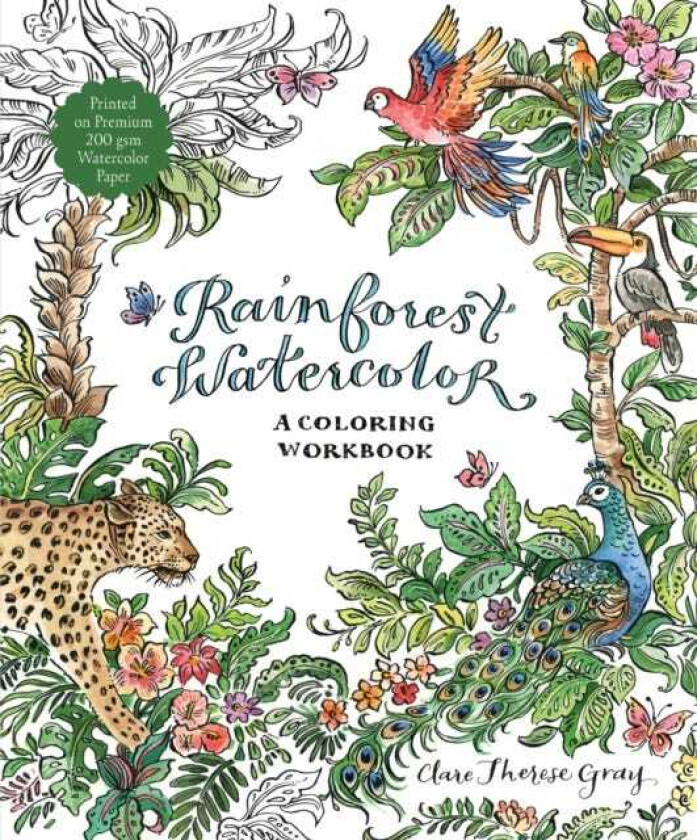Rainforest Watercolor A Coloring Workbook