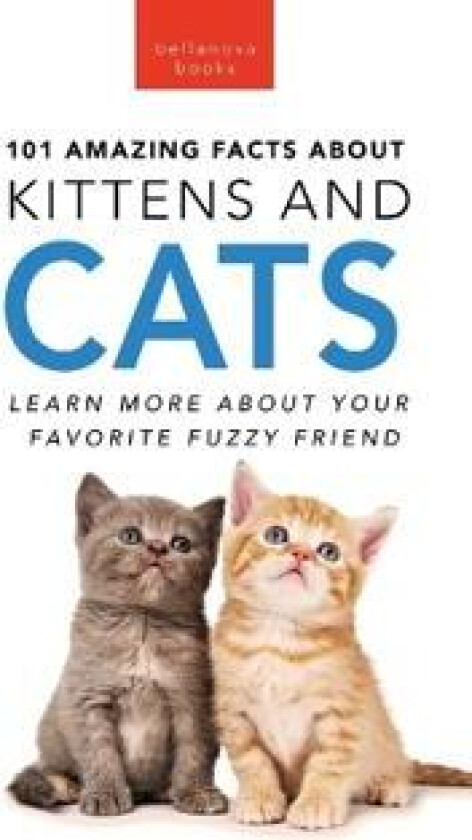101 Amazing Facts About Kittens and Cats