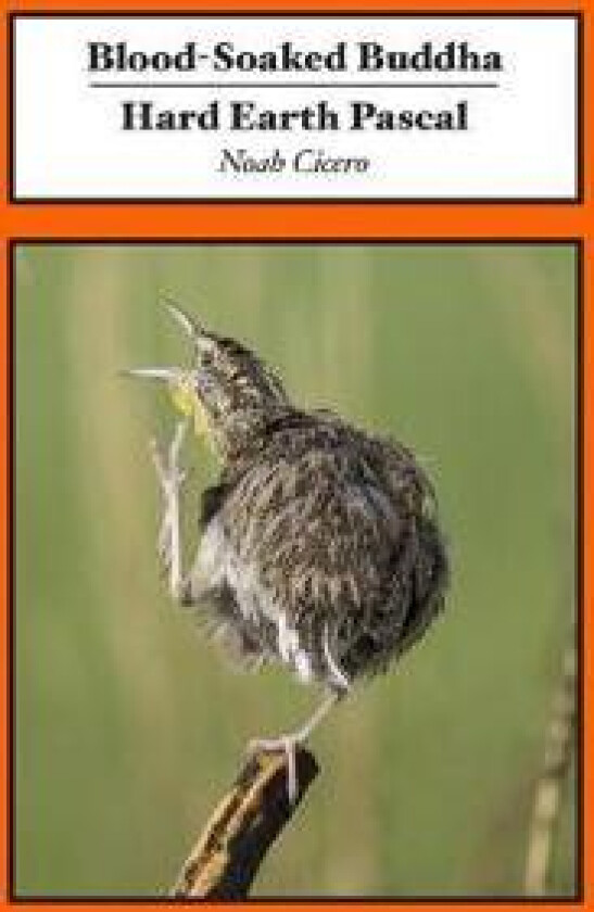 Blood-Soaked Buddha/Hard Earth Pascal
