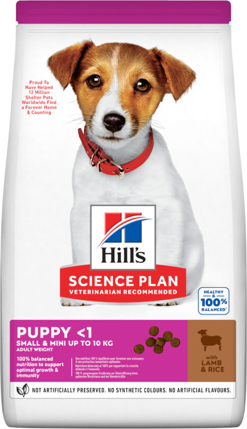 Hill`s Science Plan Puppy Small & Mini Lam & Ris - Sparepakke: 2 x 3 kg