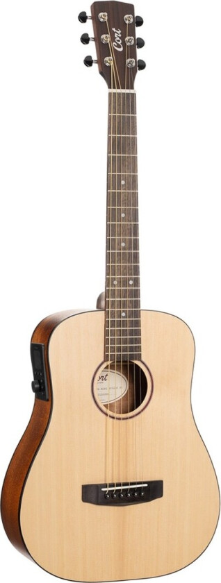 Earth GO 3/4 Mini Dreadnought Open Pore