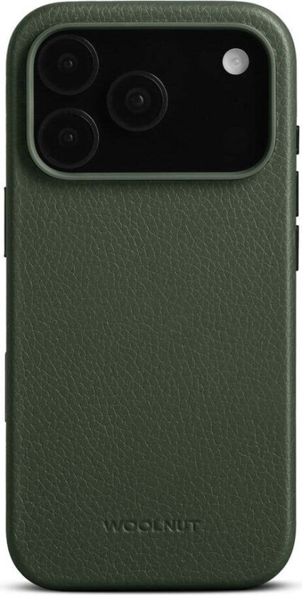 iPhone 17 Pro Ekte Skinn Deksel - MagSafe Kompatibel - Grønn