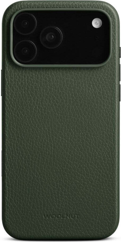 iPhone 17 Pro Max Ekte Skinn Deksel - MagSafe Kompatibel - Grønn