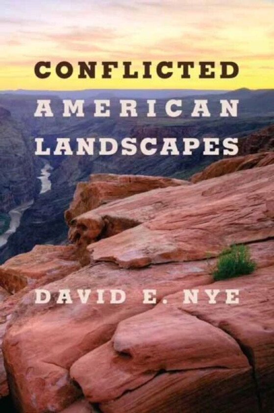Conflicted American Landscapes av David E. Nye