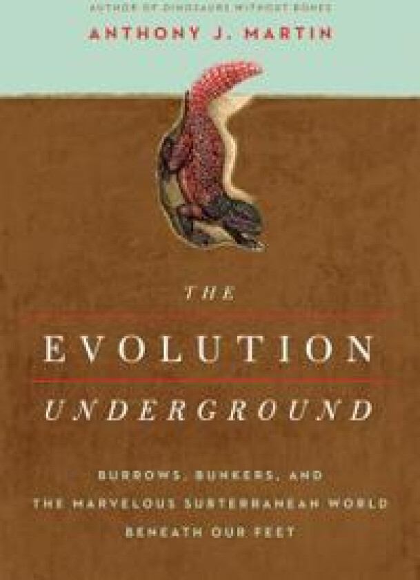 The Evolution Underground