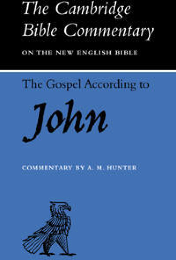 The Gospel according to John